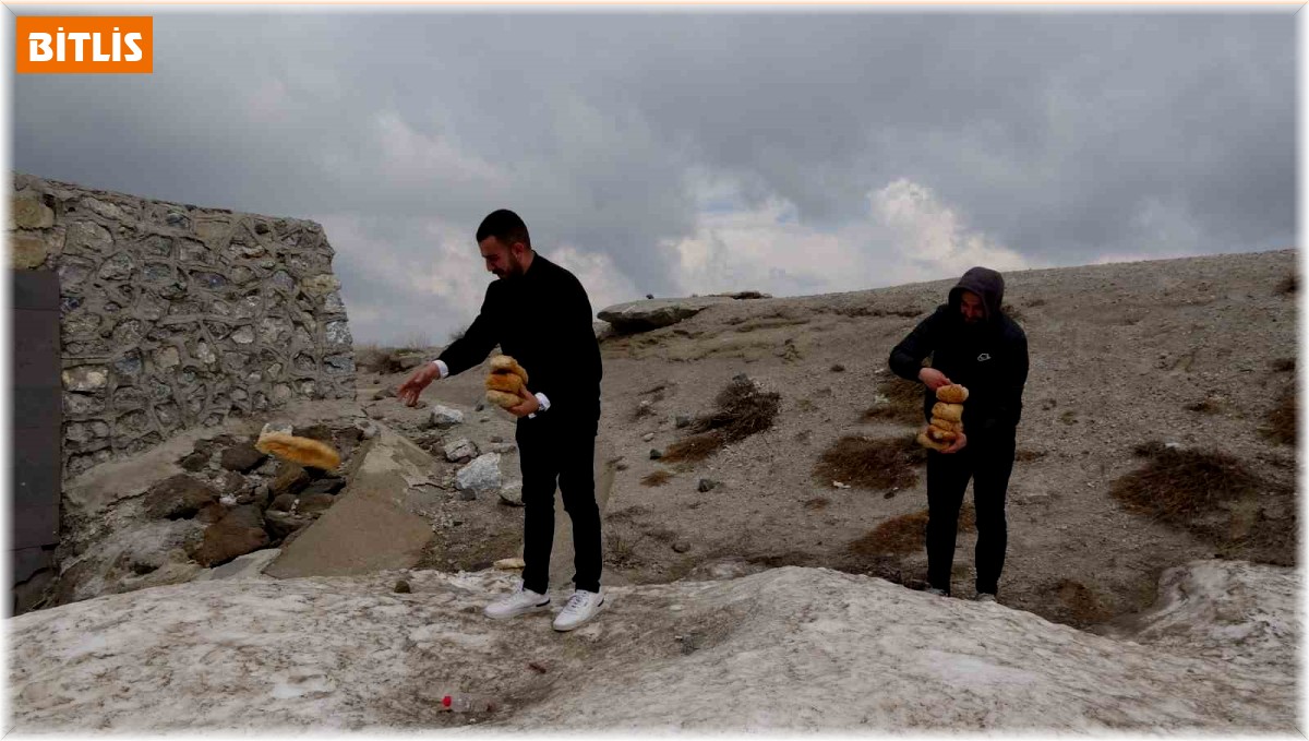 Karla kaplı Nemrut'taki yabani hayvanlar unutulmadı