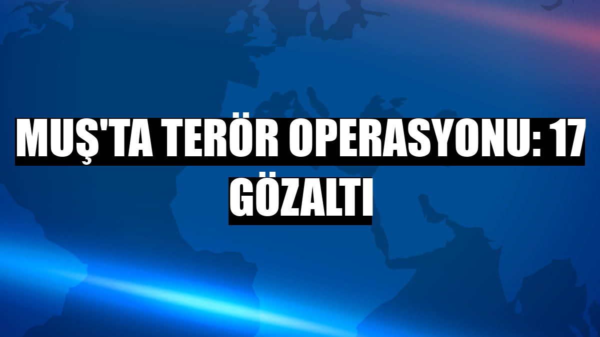 Muş'ta terör operasyonu: 17 gözaltı