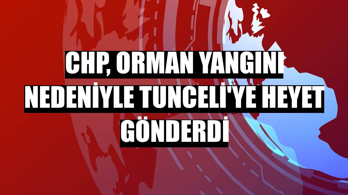 CHP, orman yangını nedeniyle Tunceli'ye heyet gönderdi