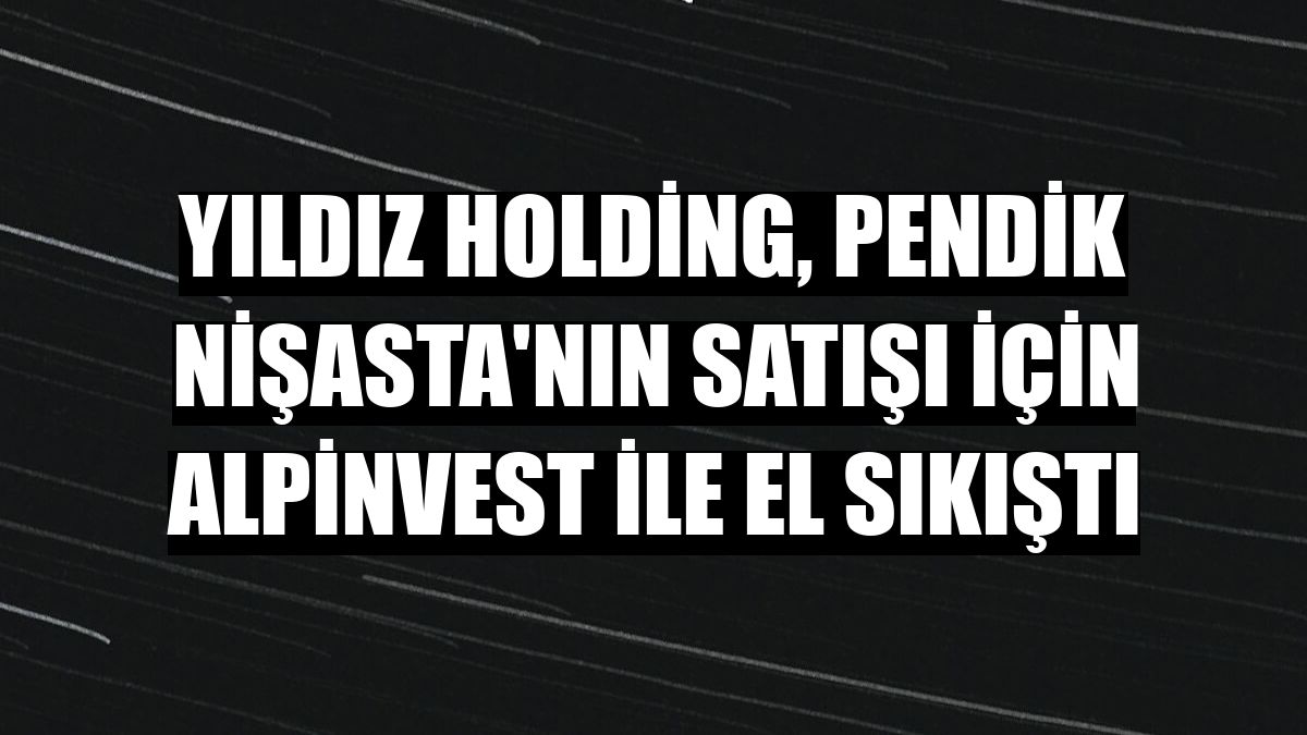 Yıldız Holding, Pendik Nişasta'nın satışı için Alpinvest ile el sıkıştı