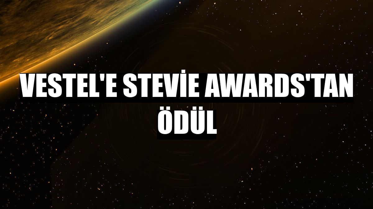 Vestel'e Stevie Awards'tan ödül
