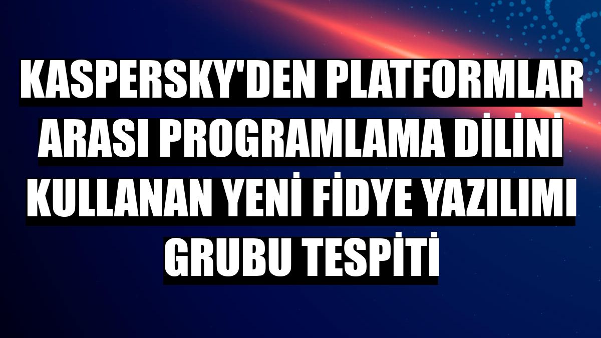 Kaspersky'den platformlar arası programlama dilini kullanan yeni fidye yazılımı grubu tespiti