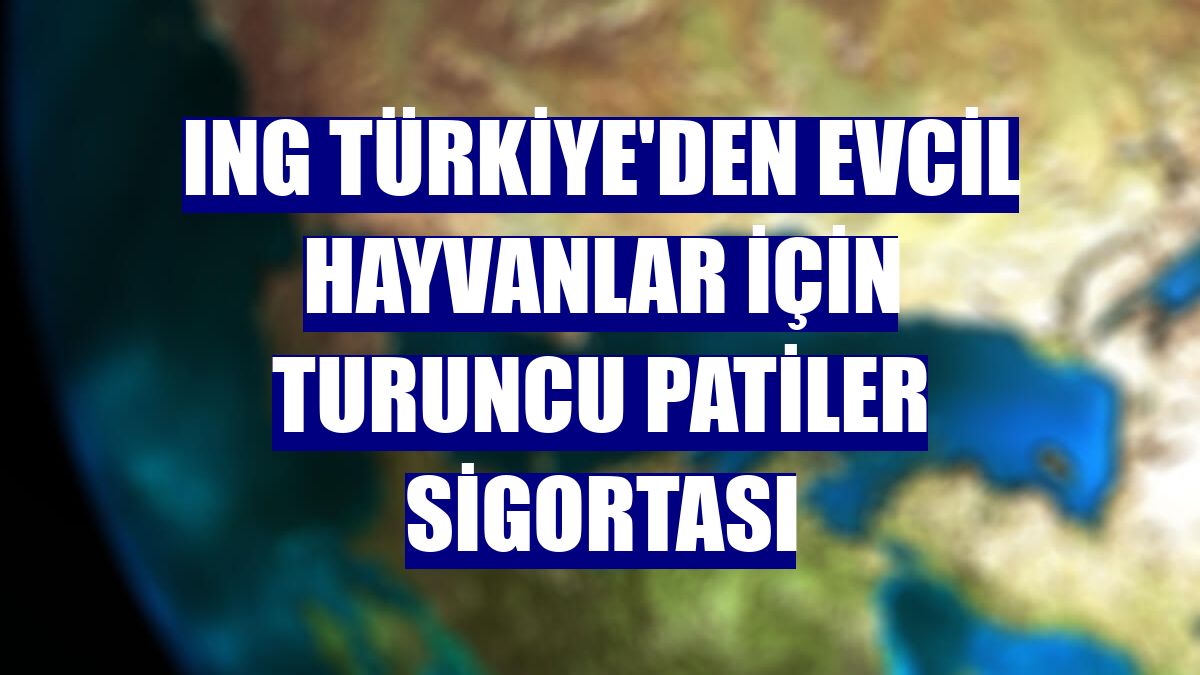 ING Türkiye'den evcil hayvanlar için Turuncu Patiler Sigortası