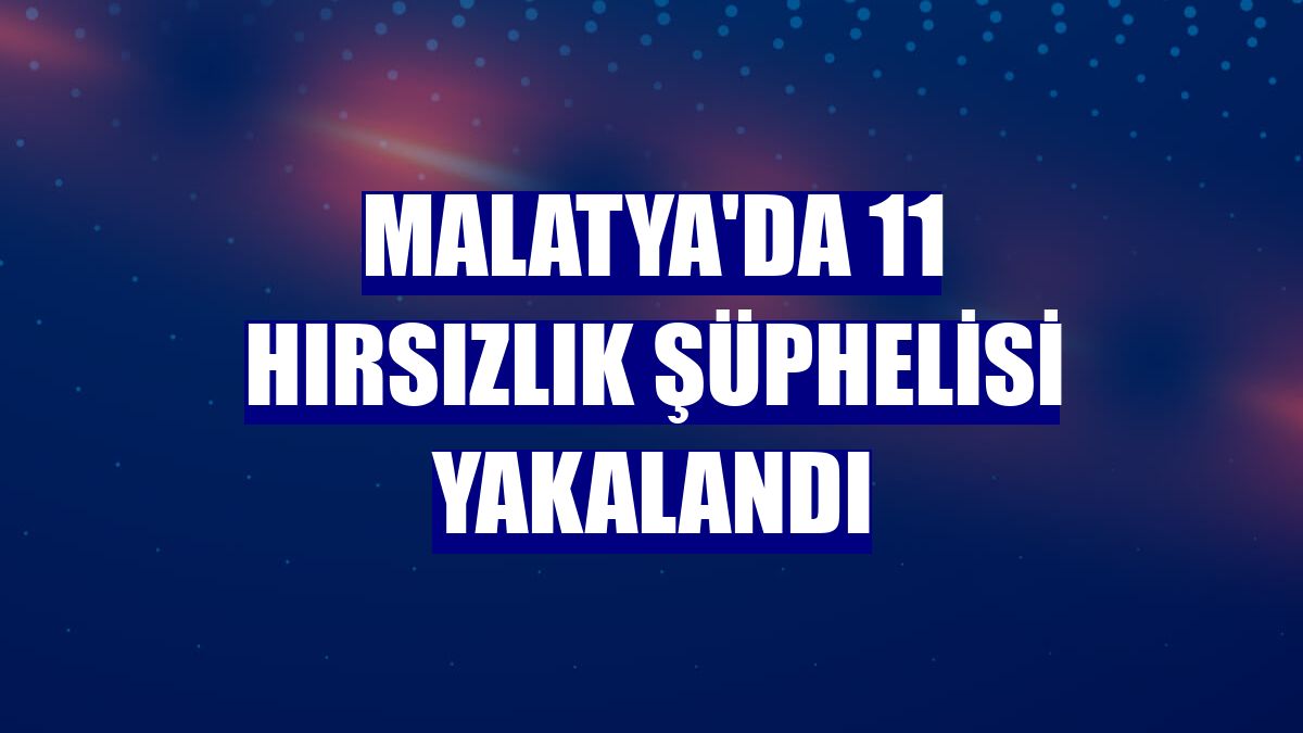 Malatya'da 11 hırsızlık şüphelisi yakalandı
