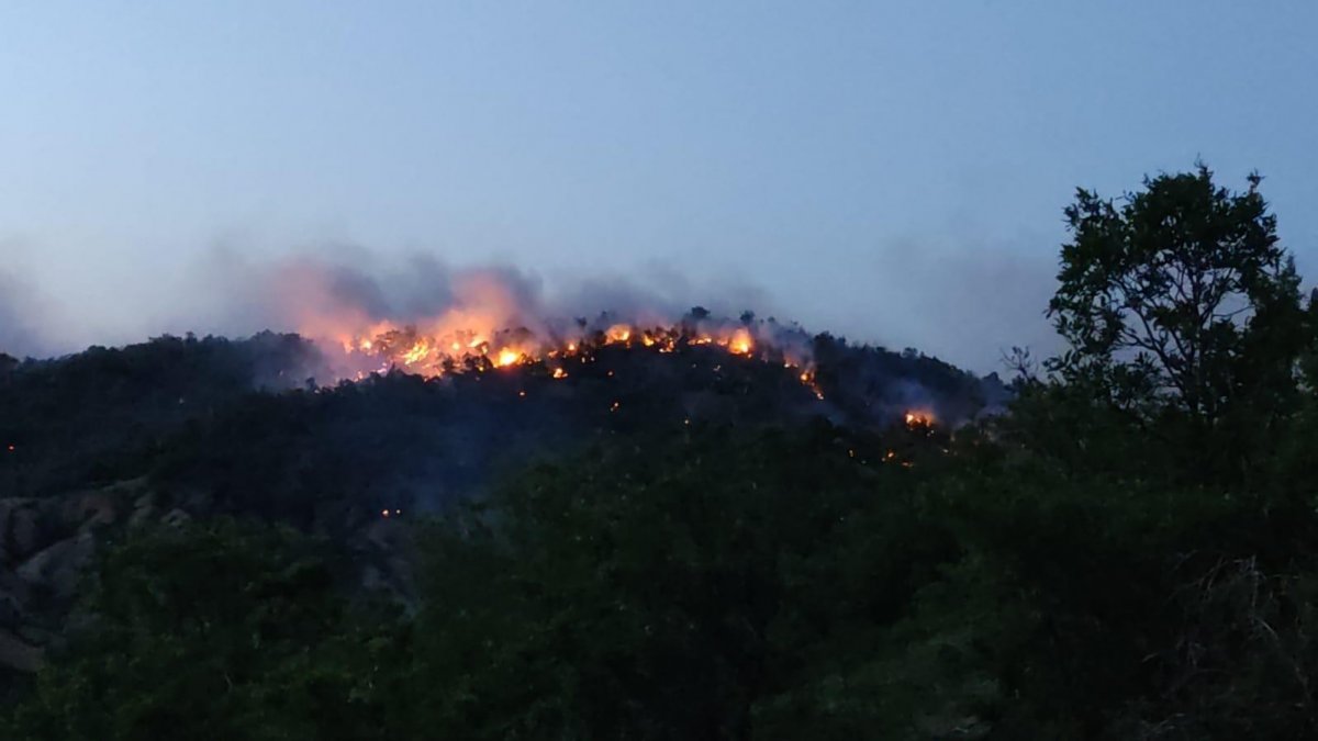 Bingöl'de orman yangını 2 günde kontrol altına alınabildi