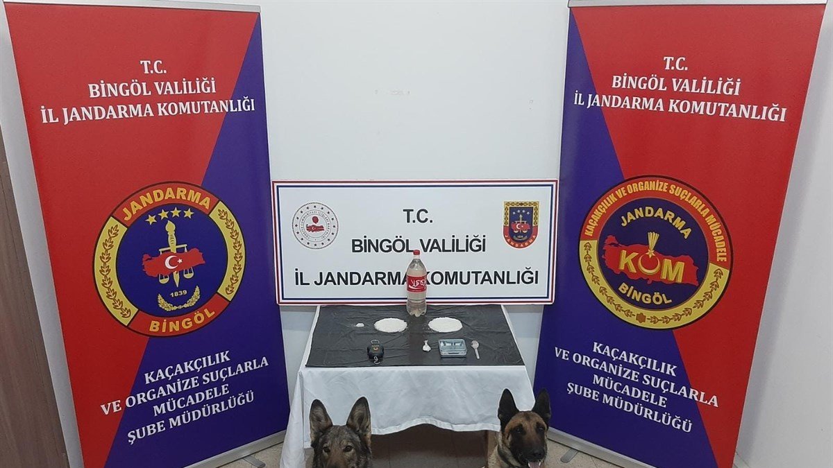 Bingöl'de uyuşturucu operasyonu: 2 şüpheli tutuklandı