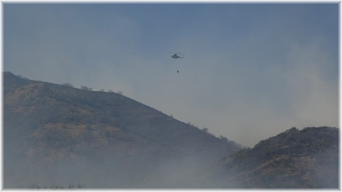 Bingöl'deki orman yangınını söndürme çalışmaları sürüyor