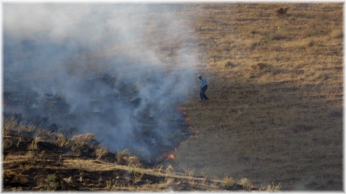 Bitlis'teki örtü yangını ormanlık alana sıçramadan kontrol altına alındı