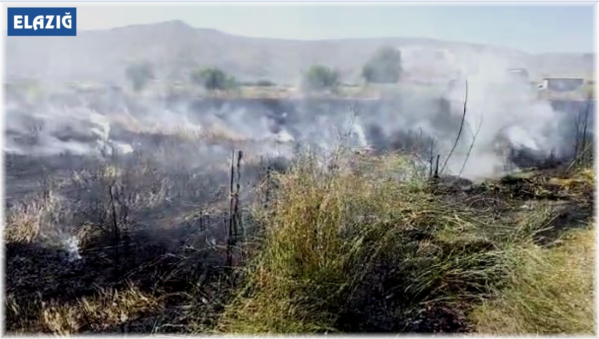 Elazığ'da 10 dönüm tarım arazisi yandı