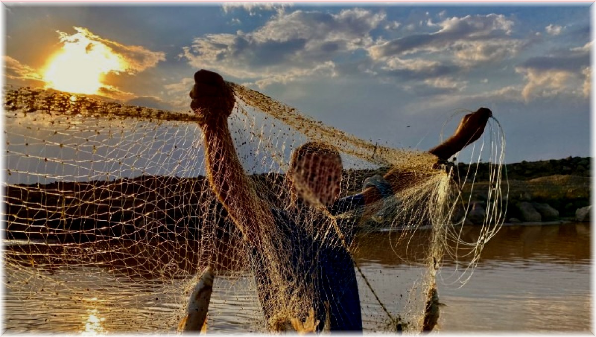 Erzincan'da balık avının yasaklandığı yerler açıklandı