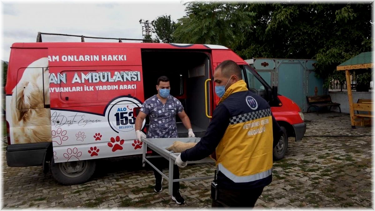 Erzincan'da 'hayvan ambulansı' hizmete girdi