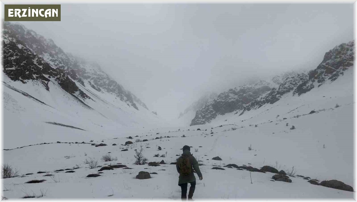 Erzincan'ın yüksek kesimlerine kar yağdı