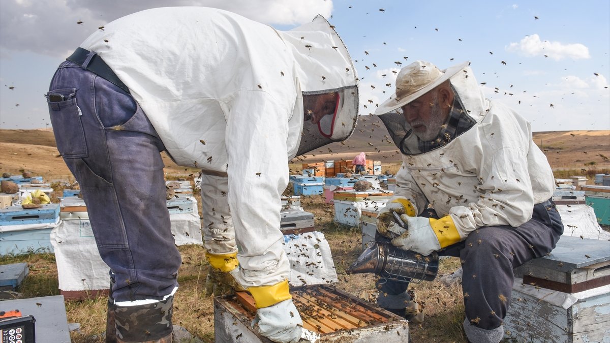 Havaların soğuduğu Kars'ta bal üreticileri arıları erken 'kışlattı'