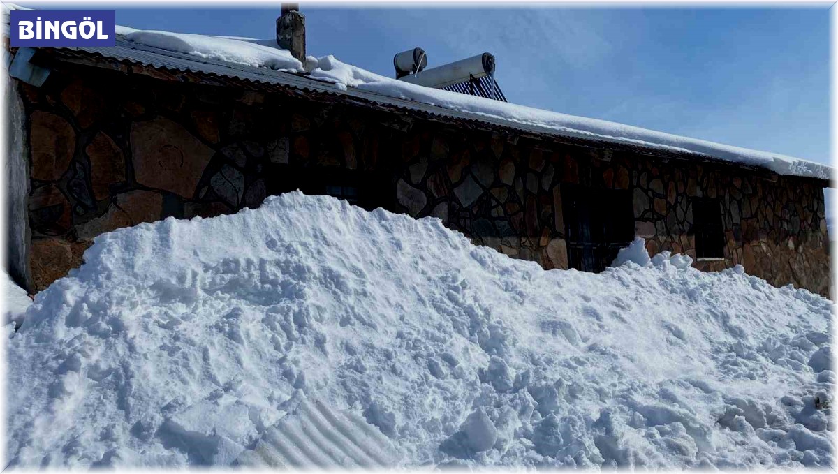 Karlıova'da günlerdir etkili olan kar, tek katlı evleri kara gömdü