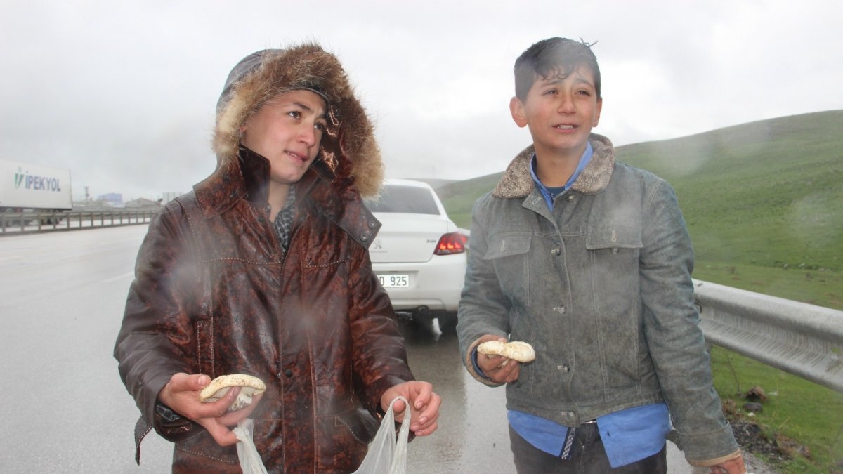 Otoyolda mantar satan çocukların yağmur altında ekmek parası mücadelesi