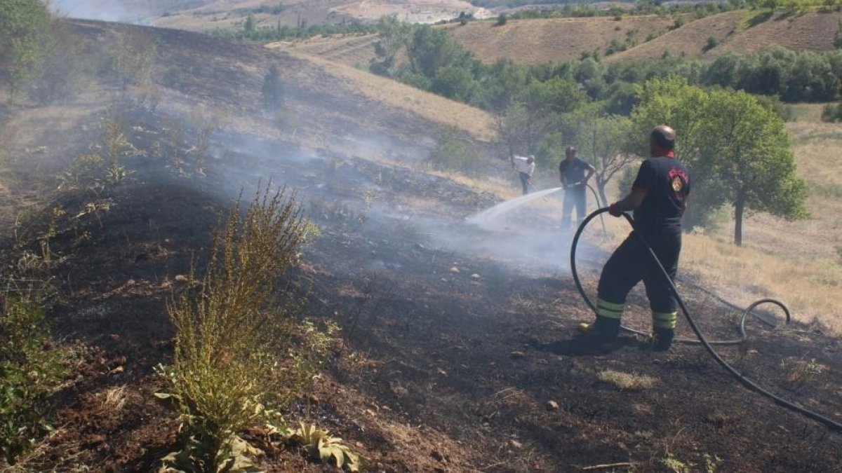 Sıcak hava Erzincan'da yangınları artırdı