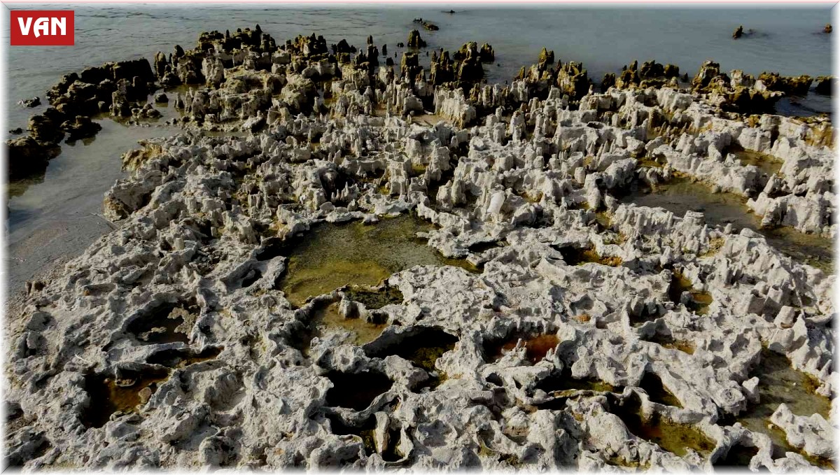 Sular çekilince Van Gölü'ndeki mikrobiyalitler ortaya çıktı