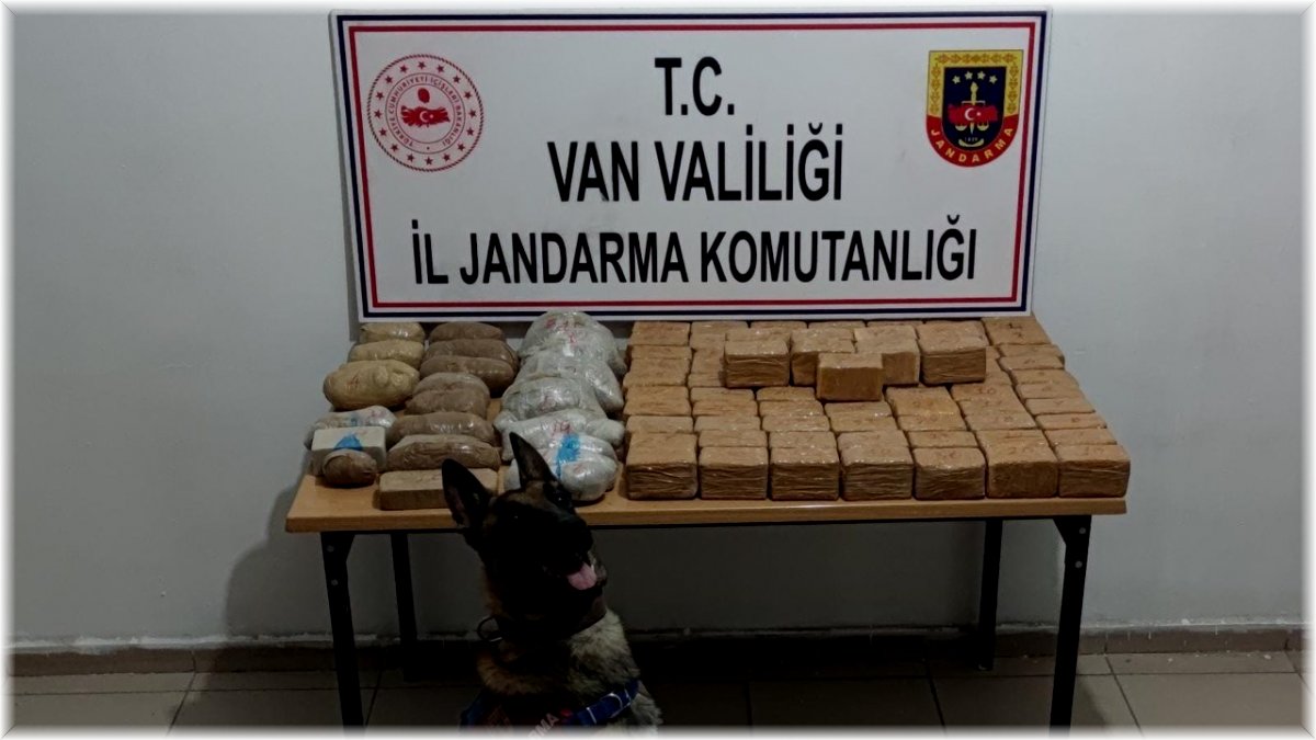 ‘Togo’ ile yapılan operasyonda 51 kilo eroin ele geçirildi