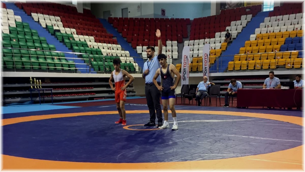 Vanlı Güreşçi Şervan Türkiye Şampiyonu Oldu