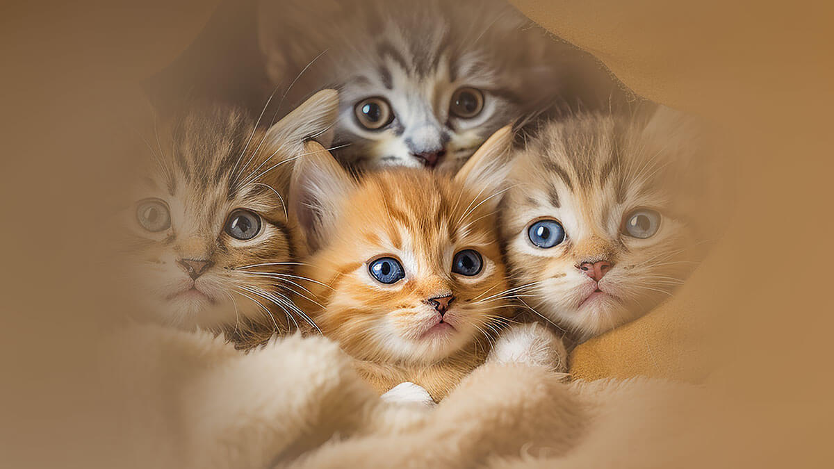 Rüyada Hasta Kedi Yavrusu Görmek: Anlamı ve Yorumu
