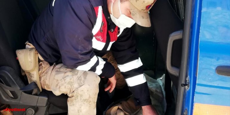 Elazığ'da jandarmadan yaralı köpeğe şefkat eli