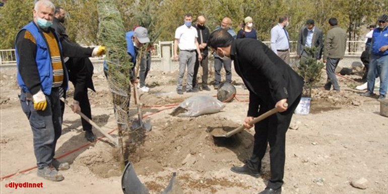 Kağızman'daki İzzet Aras Camisi bahçesine 350 fidan dikildi