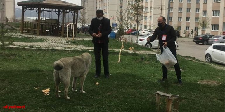 Ardahan'da 'tam kapanma' uygulamasında sokak hayvanları unutulmadı