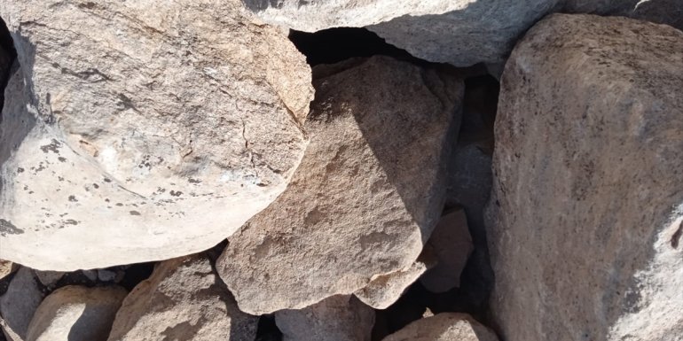 Erzincan'da AFAD ekipleri kayalıklarda mahsur kalan oğlak için seferber oldu