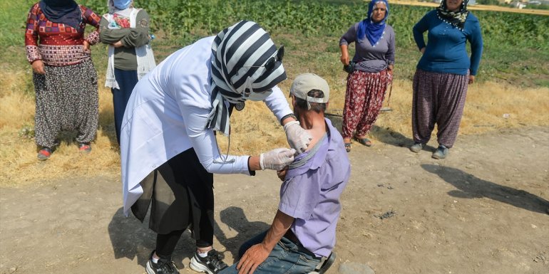 Mevsimlik işçiler aşıya gidemeyince sağlık ekipleri tarlaya indi