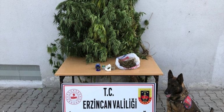 Erzincan'da uyuşturucu ve kaçak tütün operasyonunda 2 zanlı yakalandı
