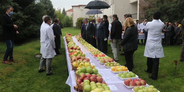 Erzincan'daki gen bankasında korunan yerli meyve ve süs bitkileri tanıtıldı
