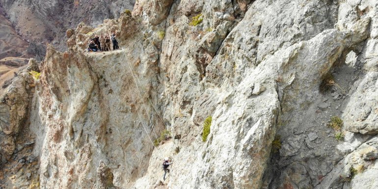 Iğdır'da kayalıklarda mahsur kalan koyunları AFAD ekipleri kurtardı