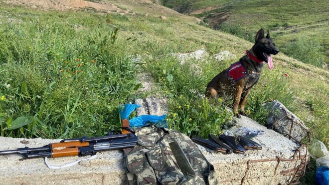 Bitlis merkezli 6 ilde organize suç örgütüne yönelik operasyonda 6 şüpheli yakalandı