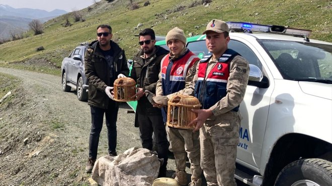 Bitlis'te keklik avlayanlara 106 bin 135 lira para cezası uygulandı