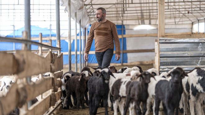 Köye dönüşlerin başladığı Erzurum'un kırsalında hayvancılık artıyor