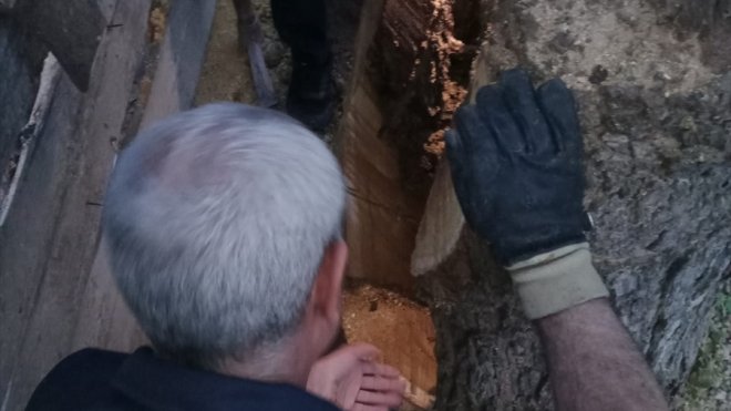 Malatya'da ağaç kovuğuna sıkışan yavru yediyi itfaiye kurtardı