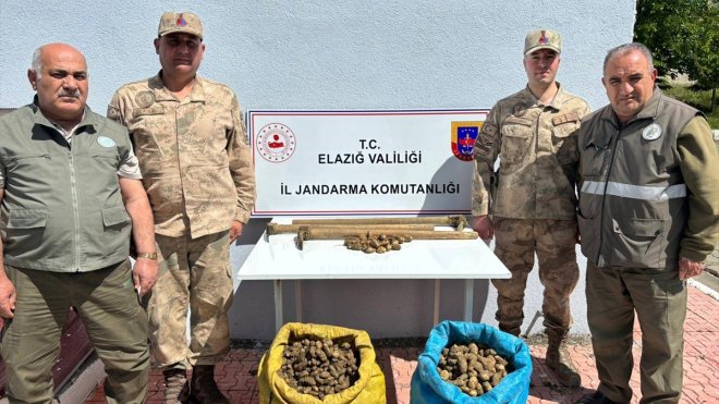 Elazığ'da 98,5 kilogram salep soğanını kaçak toplayan 4 kişi yakalandı