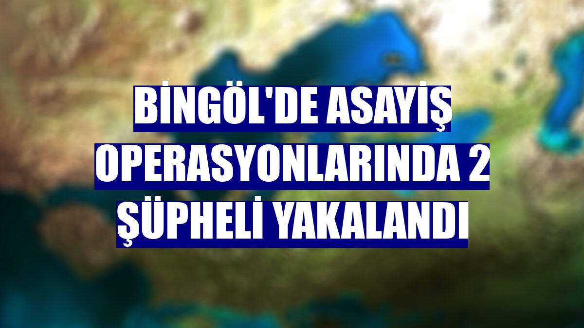 Bingöl'de asayiş operasyonlarında 2 şüpheli yakalandı