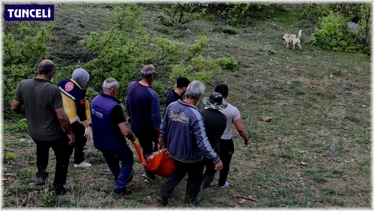 Tunceli'de ayının saldırısına uğrayan adam yaralandı
