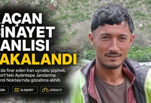 Ağrı'daki yayla cinayetinin firari zanlısı jandarma kontrol noktasında yakalandı