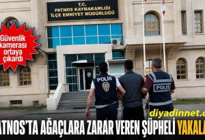 Patnos'ta Kaldırım Fidanlarını Söken Şüpheli Yakalandı