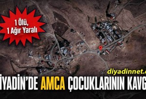Ağrı Diyadin'de "Amca Çocuklarının Kavgası" 1 Ölü, 1 Ağır Yaralı