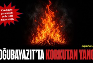Mahalle sakinleri fark etti, ekipler yetişti: Doğuabayazıt Sanayi Mahallesi'nde korkutan yangın paniği