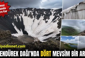 Ağrı-Van Sınırındaki Tendürek Dağı'nda Temmuz Ortasında Dört Mevsim Bir Arada