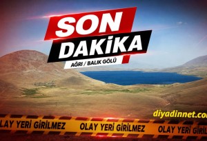 Ağrı Balık Gölü Şenliği'nde Kavga: 1'i Ağır 2 Yaralı