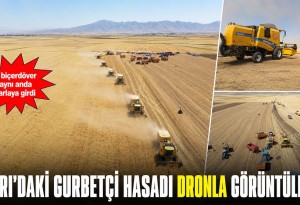 7 Biçerdöver Aynı Anda Tarlaya Girdi: Gurbetçilerin Desteğiyle Ağrı'da Bereketli Hasat