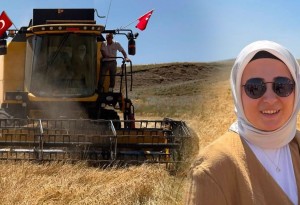 Taşlıçay Kaymakamı Kübra Baka Kılıç Tarlaya İndi, Arpa Hasadına Katıldı
