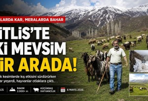 Bitlis'te iki mevsim bir arada: Dağlarda kış, meralarda bahar