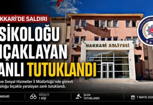Hakkari'de görevli psikoloğu bıçakla yaralayan zanlı tutuklandı