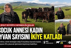 Muşlu Sidret Yenilmez devlet desteğiyle aldığı 15 hayvanın sayısını 29'a çıkardı